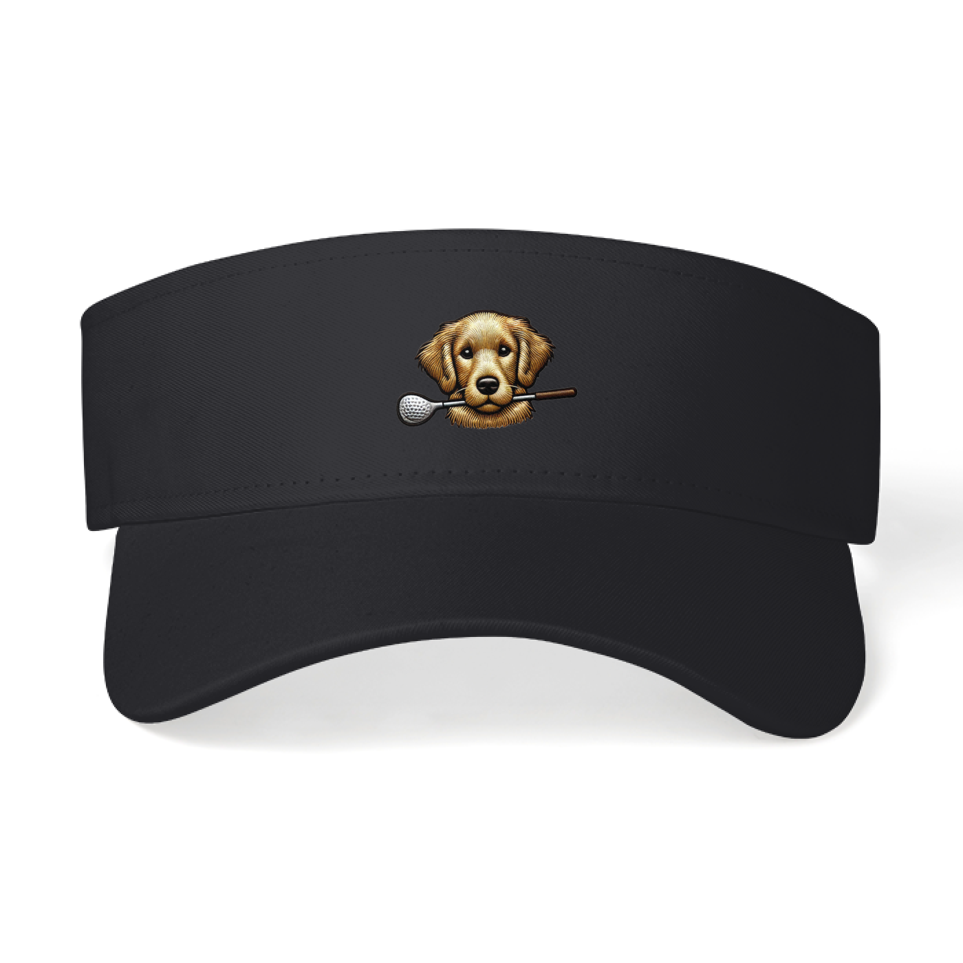 Sun Visor
