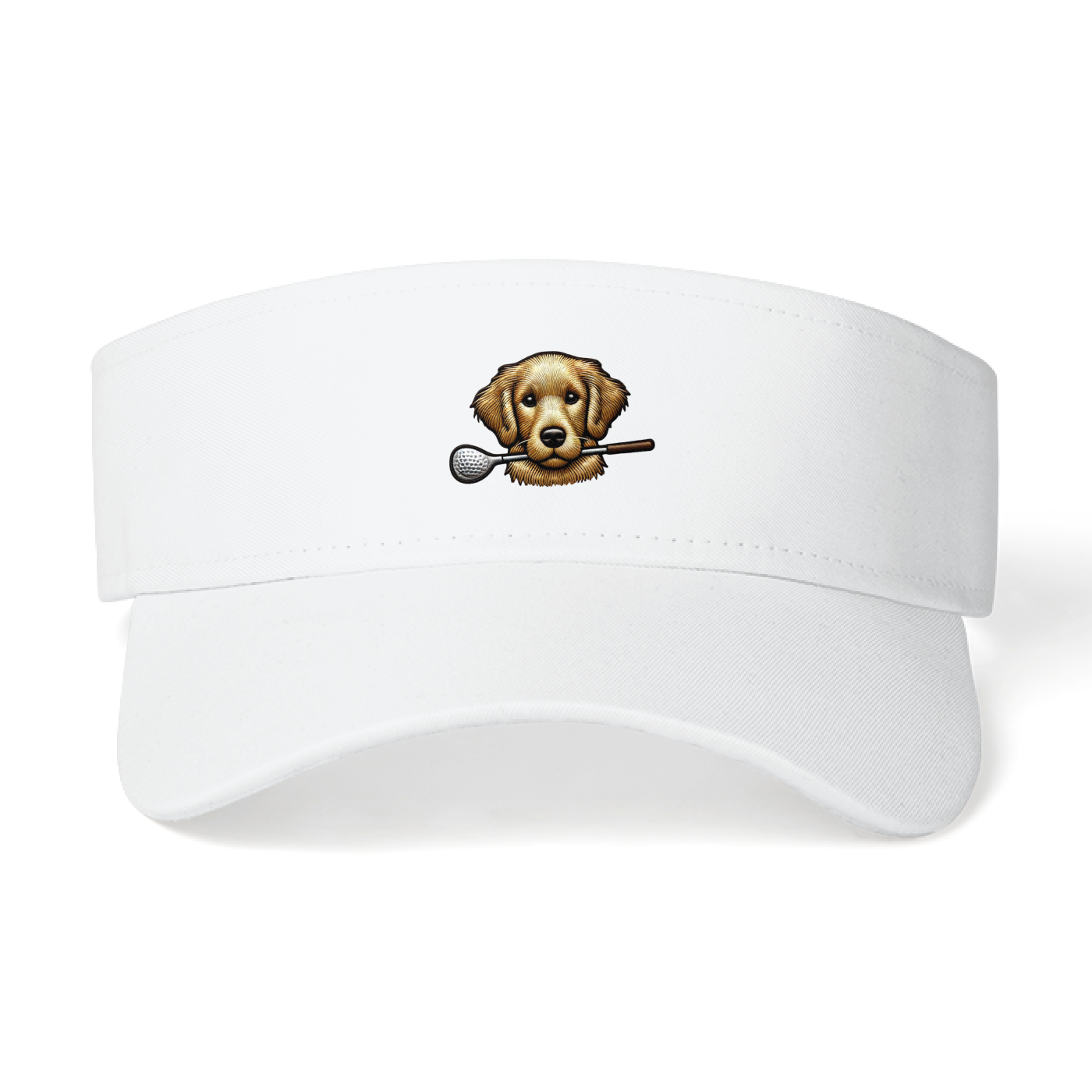 Sun Visor