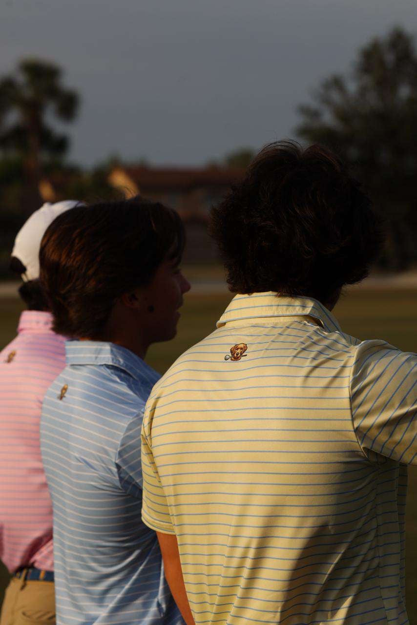 Premium Polo
