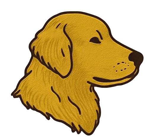 Goldy Apparel